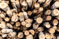 Firewood for the winter, stacks of firewood, pile of firewood Royalty Free Stock Photo
