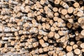 Firewood for the winter, stacks of firewood, pile of firewood Royalty Free Stock Photo
