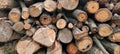 Firewood for the winter, stacks of firewood, pile of firewood Royalty Free Stock Photo