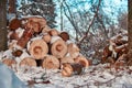 Firewood in a woodpile in