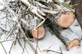 Firewood in woods covered with snow. In winter, a close-up of sawed trees. The logs collected for the fire. Royalty Free Stock Photo