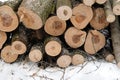 Firewoods ends of sawed tree logs stacked in a pile in the forest in a winter day