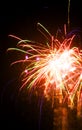 Firework Royalty Free Stock Photo