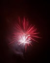 Firework Royalty Free Stock Photo