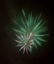 Firework Royalty Free Stock Photo