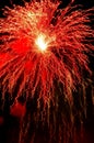 Firework Royalty Free Stock Photo