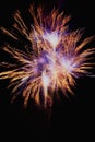 Firework Royalty Free Stock Photo