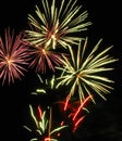 Firework Royalty Free Stock Photo