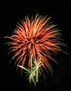 Firework Royalty Free Stock Photo