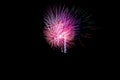 firework celebration, with a multiple long exposure to capture the movement of the explosion.black sky background Royalty Free Stock Photo
