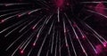 Firework. Celebratory bright firework in a night sky Royalty Free Stock Photo