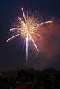 Firework Display Royalty Free Stock Photo