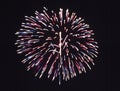 Firework display Royalty Free Stock Photo