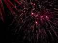 Firework display - with trails against black sky Royalty Free Stock Photo