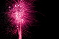 Firework display - with trails against black sky Royalty Free Stock Photo