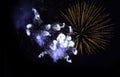 Firework explosion in the night sky Royalty Free Stock Photo