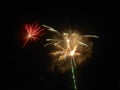 Firework