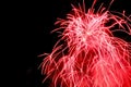 Firework flower in front of black background