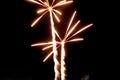 Firework flower in front of black background