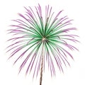 Firework with green and purple stripes isolated on white background Royalty Free Stock Photo