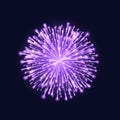 Firework isolated. Beautiful purple firework on dark sky background. Vector illustration