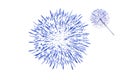 Firework isolated. Beautiful salute on white background.