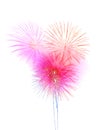 firework isolated on white background- firework celebration ha