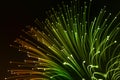 firework light green colorful explosion blurred abstract n the dark black sky Royalty Free Stock Photo