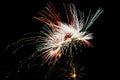 Firework Light Trails Royalty Free Stock Photo