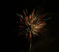 Firework light trails Royalty Free Stock Photo