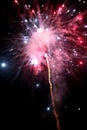 Firework red explosion Royalty Free Stock Photo