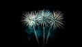 Firework over the blue sky at night, white, and green Royalty Free Stock Photo