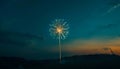 Firework over the blue sky at night, white, and green Royalty Free Stock Photo