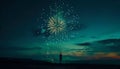 Firework over the blue sky at night, white, and green Royalty Free Stock Photo