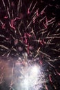 Firework Royalty Free Stock Photo