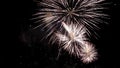 Firework pyrotechnic show