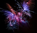Firework streaks in the night Royalty Free Stock Photo