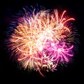 Firework streaks in night sky, celebration Royalty Free Stock Photo