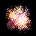 Firework streaks in night sky, celebration Royalty Free Stock Photo