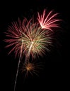 Beautiful fireworks display lights up the nighttime sky