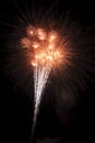 Beautiful fireworks display lights up the nighttime sky Royalty Free Stock Photo