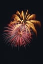 Beautiful fireworks display lights up the nighttime sky Royalty Free Stock Photo