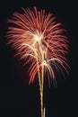 Beautiful fireworks display lights up the nighttime sky