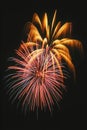 Beautiful fireworks display lights up the nighttime sky Royalty Free Stock Photo