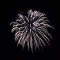 Fireworks Royalty Free Stock Photo