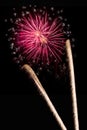 Fireworks Royalty Free Stock Photo