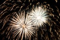 Fireworks Royalty Free Stock Photo