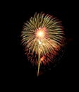 Fireworks Royalty Free Stock Photo