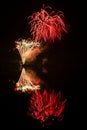 Fireworks above water, mirroring