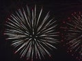 Fireworks against black sky